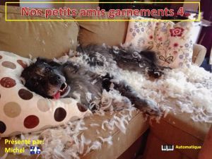 nos_petits_amis_garnements_4_michel