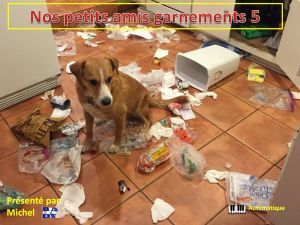 nos_petits_amis_garnements_5_michel