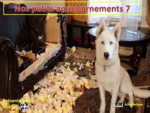 nos_petits_amis_garnements_7__michel