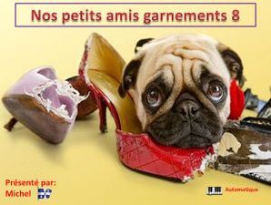 nos_petits_amis_garnements_8__michel