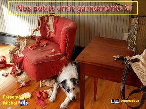 nos_petits_amis_garnements_9__michel