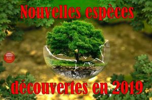 nouvelles_especes_decouvertes_en_2019_roland