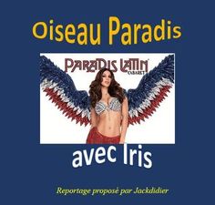 oiseau_paradis_avec_iris_jackdidier