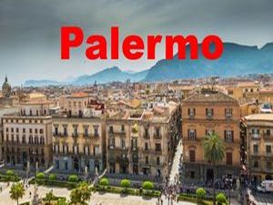 palermo__ibolit