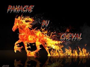 panache_du_cheval_dede_51