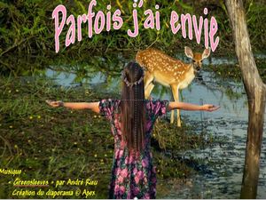 parfois_j_ai_envie__apex