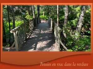 pensees_en_vrac_dans_la_verdure__reginald_day