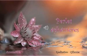 perles_ephemeres_gilianne