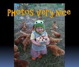 photos_very_nice