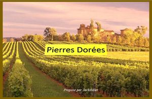 pierres_dorees__jackdidier