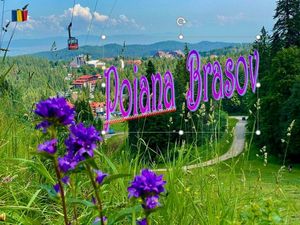 poiana_brasov__stellinna