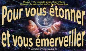 pour_vous_etonnez_et_vous_emerveillez_apex