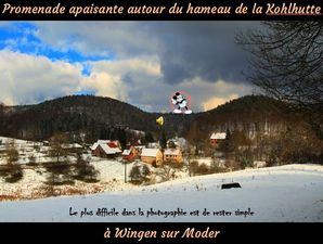 promenade_apaisante_autour_de_la_kohlhutte__roland