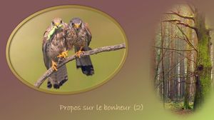 propos_sur_le_bonheur_2_reginald_day