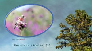 propos_sur_le_bonheur_3_reginald_day