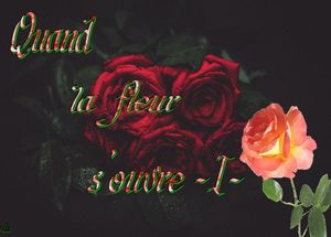 quand_la_fleur_s_ouvre_1_dede_51