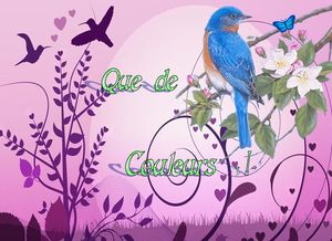 que_de_couleurs_1_dede_51