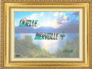 quelle_merveille_1_dede_51