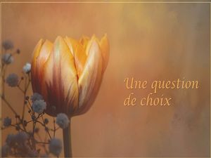 question_de_choix__reginald_day