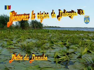 region_de_dobrogea_13_delta_du_danube_stellinna