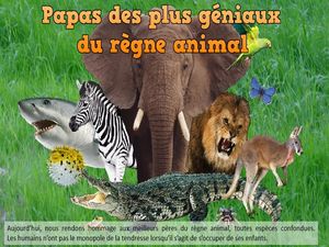 regne_animal_phil_v