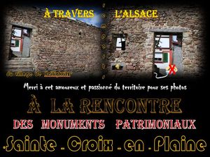 rencontre_patrimoniale_sainte_croix_en_plaine_remparts__roland