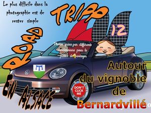 road_tripp_en_alsace_14_bernarville_et_son_vignoble__roland