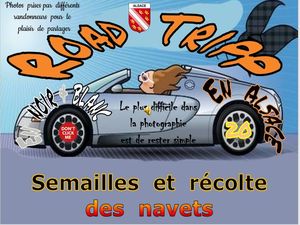 road_tripp_en_alsace_20_semailles_et_recolte_navets__roland
