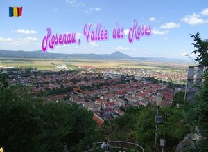 rosenau_vallee_des_roses__stellinna