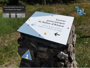 sentier_panoramique_du_ballon_d_alsace_2__roland