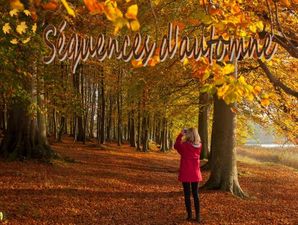 sequences_d_automne__stellinna