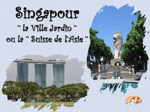 singapour__p_sangarde