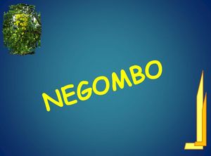 sl_9_negombo_marijo