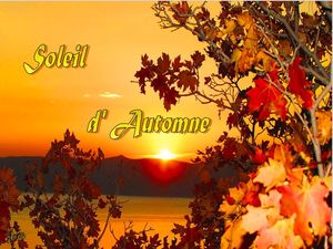 soleil_d_automne__dede_51