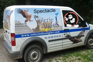 spectacle_de_la_volerie_des_aigles_a_kintzheim_roland