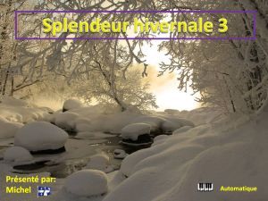 splendeur_hivernale_3_michel