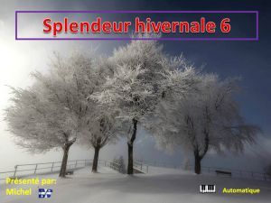 splendeur_hivernale_6_michel