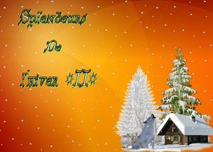 splendeurs_de_l_hiver_2__dede_51