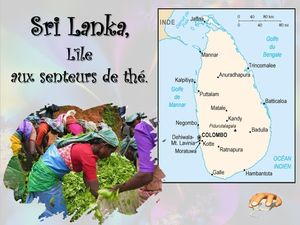 sri_lanka__p_sangarde