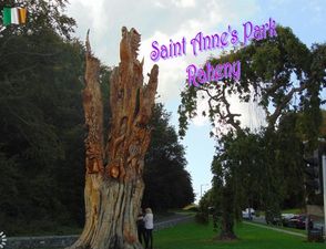 st_anne_s_park_raheny_stellinna