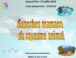 superbes_mamans_du_royaume_animal_chantha