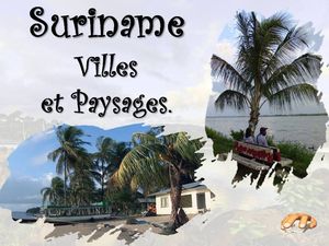 suriname_villes_et_paysages__p_sangarde