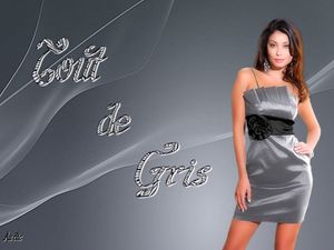 tout_de_gris_dede_51