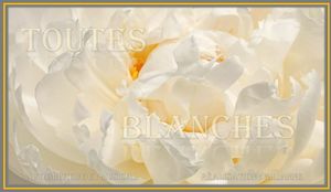 toutes_blanches__gilianne