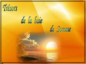 tresors_de_la_baie_de_somme__dede_51