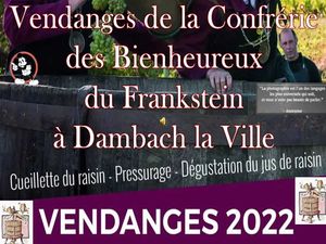 vendanges_de_la_confrerie_des_bienheureux_du_frankstein