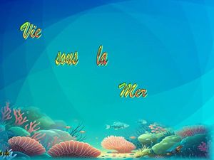 vie_sous_la_mer__dede_51