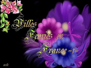 villes_fleuries_en_france__dede_51