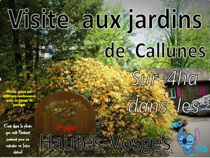 visite_aux_jardins_de_callunes_hautes_vosges_2__roland