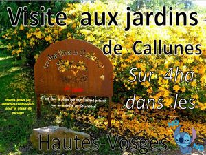 visite_aux_jardins_de_callunes_hautes_vosges__roland